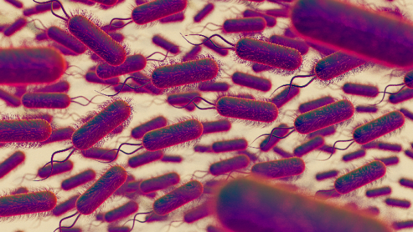 Zakażenie Clostridium difficile